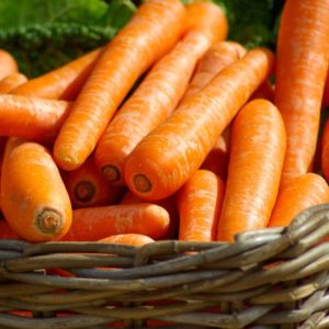 carottes