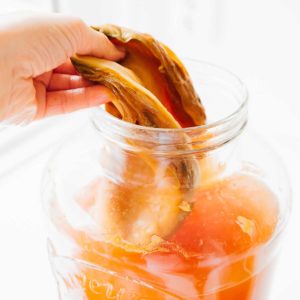 kombucha