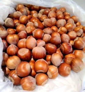 noisettes